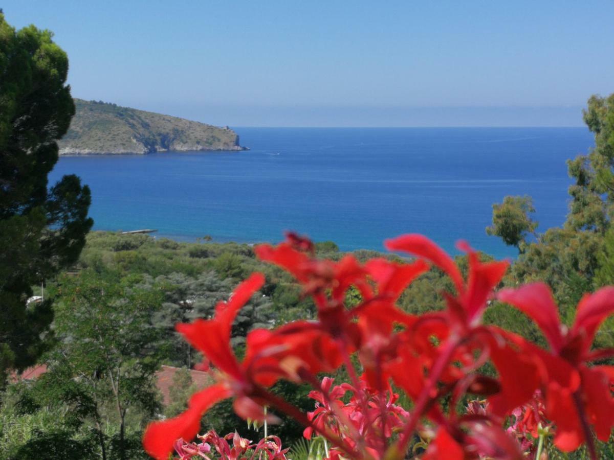 Il Sogno Di Vincenzo E Maria Bed & Breakfast Palinuro Bagian luar foto